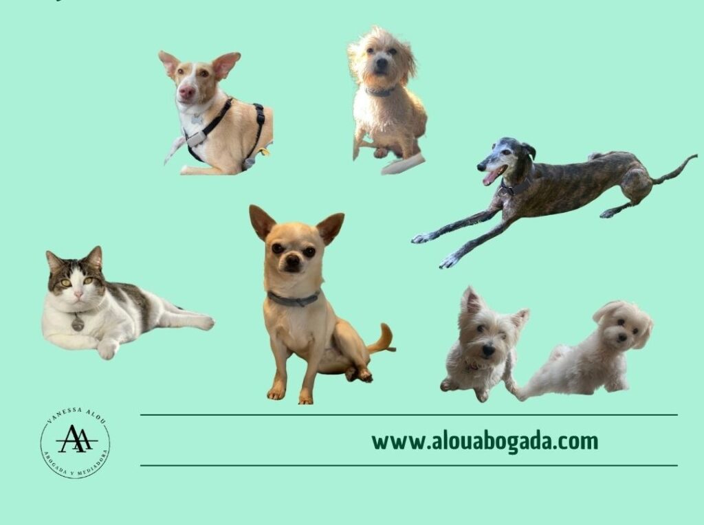 Mascotas y protección legal en el entorno familiar